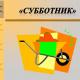 Экологический городской субботник. Экологический городской субботник.