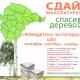 Сдай макулатуру! Спаси дерево! Сдай макулатуру! Спаси дерево!