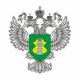 Осторожно - птичий грипп Осторожно - птичий грипп