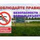 Основная причина гибели на водных объектах - купание в неустановленных местах Основная причина гибели на водных объектах - купание в неустановленных местах